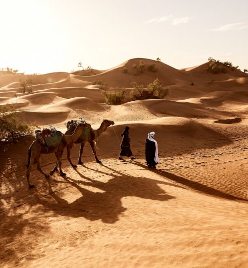 beautiful-shot-people-walking-with-their-camels-desert-erg-lihoudi-morocco