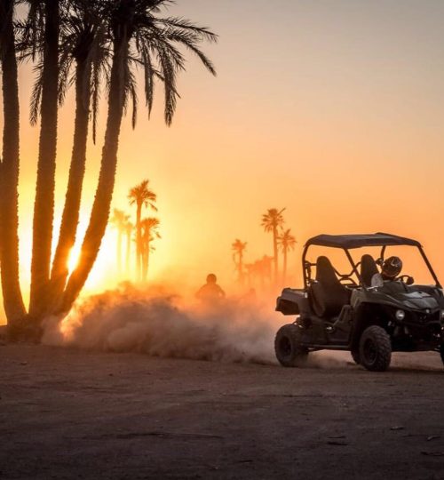 quad-biking-palmaraie