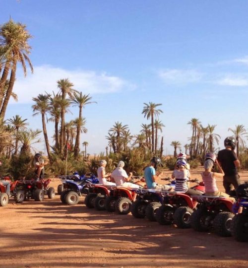 Person riding a quad bike through the lush greenery of the Marrakech Palm Grove.