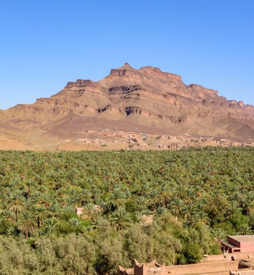 A breathtaking panoramic view of the Draa Valley from the top of a hill in Agdez Oasis, showcasing the lush green palm trees and surrounding desert landscape.